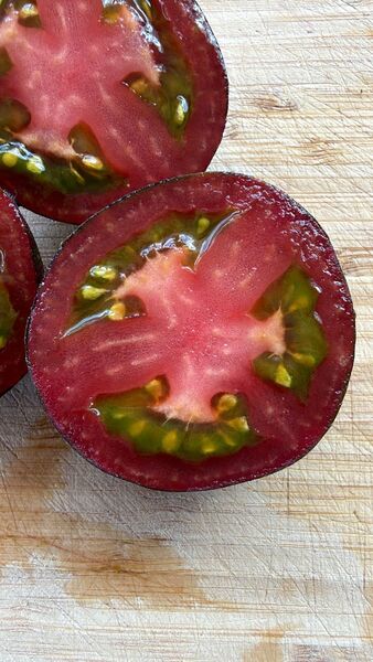 TOMATE PELUDO - WhatsApp Image 2026-07-27 at 8.47.10 AM.jpeg