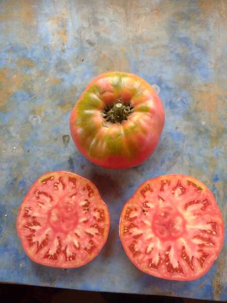 TOMATE ROSADO - WhatsApp Image 2026-01-29 at 11.17.19 (1).jpeg