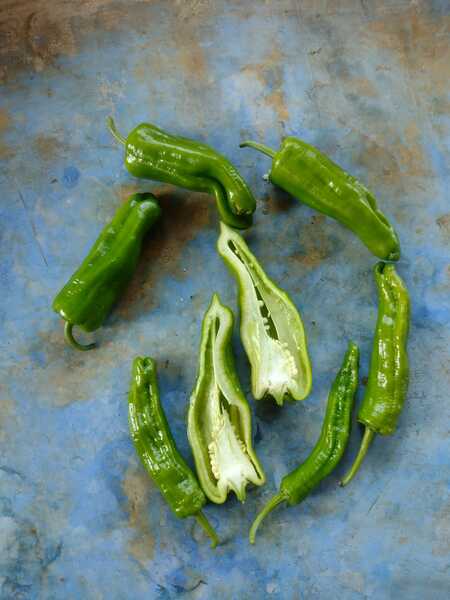 AJI SHISHITO - WhatsApp Image 2026-01-15 at 7.15.49 PM.jpeg