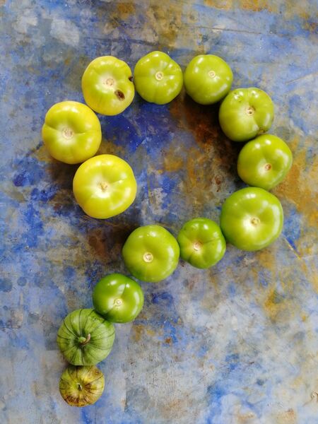 TOMATE DE MILPA - WhatsApp Image 2026-07-28 at 7.39.41 AM.jpeg