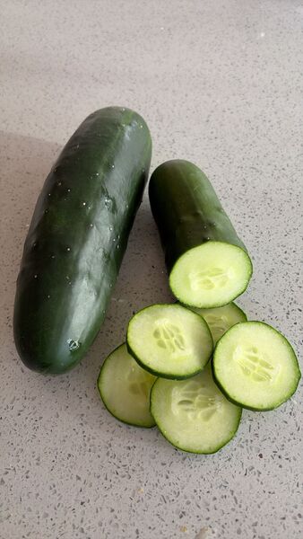 PEPINO DE ENSALADA - WhatsApp Image 2026-08-20 at 8.15.06 AM.jpeg