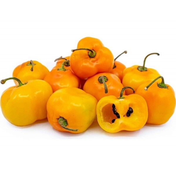 AJI ROCOTO AMARILLO - Rocoto amarillo.jpg