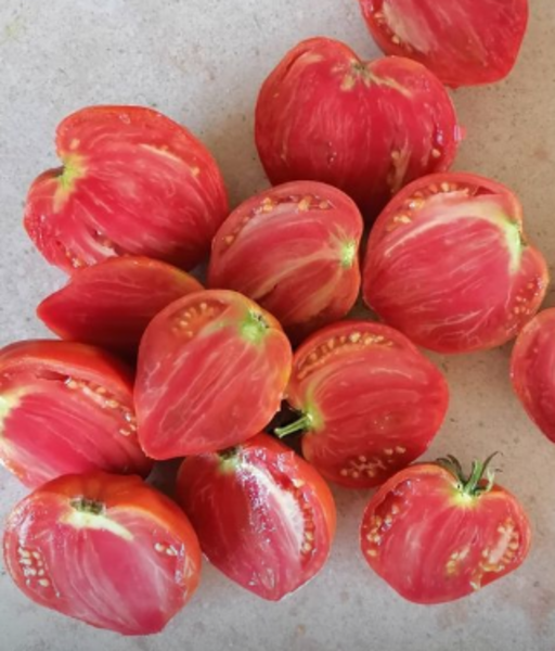 Tomate Corazón De Buey - TCB-PC-21.1.png