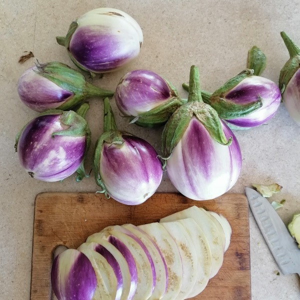 Berenjena Rosa Biancca - Berenjena Rosa Bianca