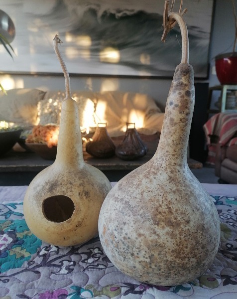 Calabaza Nido - Calabaza Nido