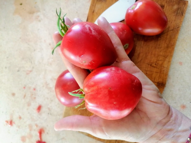 Tomate Corazoncito Rosado - corazoncito rosado.jpeg
