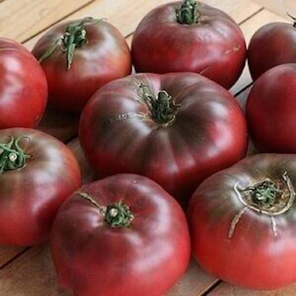 Tomate Cherokee - Tomate Cherokee.jpeg