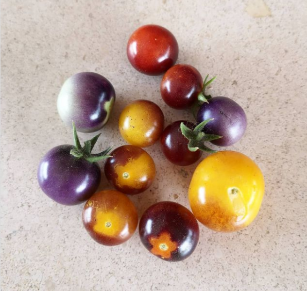Tomate Cherry Arandano - Tomate cherry arándano.png