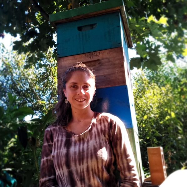 Abejas y huerta: Apicultura Regenerativa a pequeña escala - Xime-1024x1024.jpeg