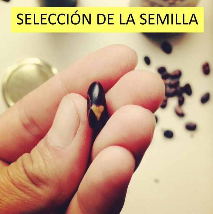 Asesorías_Online_.jpg