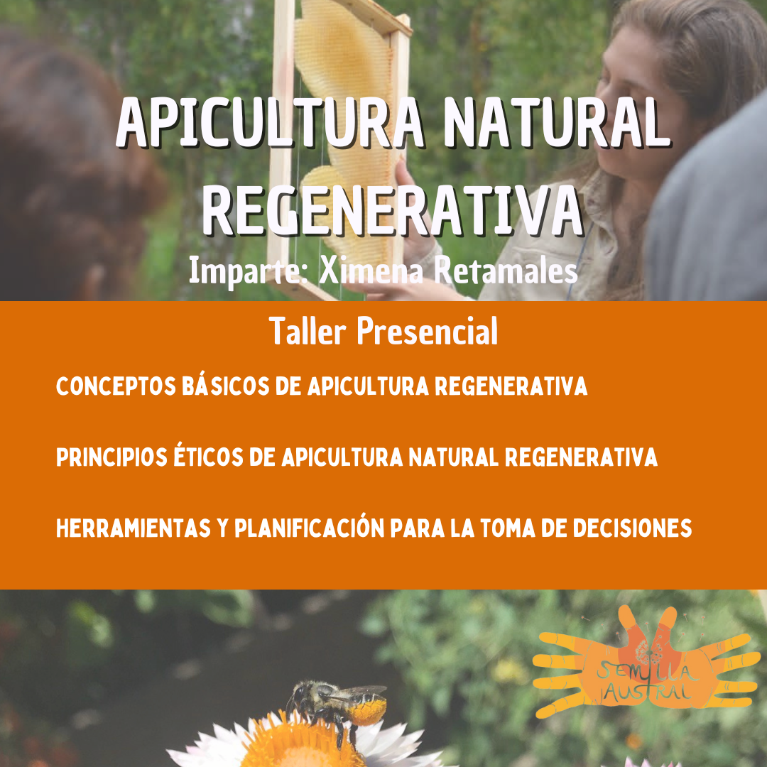Taller_Presencial_Apicultura_Regenerativa.png