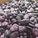 Habas Moradas - WhatsApp Image 2025-07-27 at 1.23.42 PM(1).jpeg
