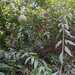 Pasiflora Nativa - WhatsApp Image 2025-10-02 at 5.15.40 PM (1).jpeg