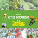 KIT 2B INTERMEDIO - KIT 2B INTERMEDIO FINAL.png.jpg