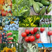 KIT 3B AVANZADO - kit 3b avanzado.png.jpg