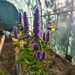 Menta Koreana - WhatsApp Image 2025-12-26 at 7.51.45 AM(4).jpeg