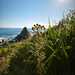 CHUPALLA - WhatsApp Image 2026-02-28 at 8.33.16 PM(2).jpeg