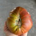 Tomate Cherokee Purple - IMG_6179.jpg.jpg
