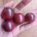 Tomate Ciruela - 831778-TC-VV-22.1.jpg