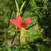 Achira - WhatsApp Image 2026-04-15 at 9.20.29 PM.jpeg