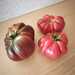 Tomate Zapoteca - WhatsApp Image 2026-04-15 at 9.29.41 PM.jpeg