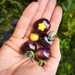 Tomate Cherry Arandano - WhatsApp Image 2026-04-15 at 9.38.03 PM.jpeg