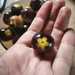 Tomate Cherry Arandano - WhatsApp Image 2026-04-15 at 9.37.56 PM.jpeg