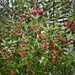 Murta - WhatsApp Image 2026-04-15 at 9.38.16 PM.jpeg