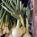 CEBOLLA VALENCIANA - WhatsApp Image 2026-02-11 at 4.25.03 PM (2).jpeg
