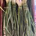 CEBOLLA VALENCIANA - WhatsApp Image 2026-02-11 at 4.25.00 PM (3).jpeg