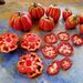 TOMATE MUSHROOM BASKET - WhatsApp Image 2026-05-18 at 18.30.50.jpeg