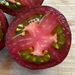 TOMATE PELUDO - WhatsApp Image 2026-07-27 at 8.47.10 AM.jpeg