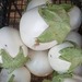 BERENJENA WHITE EGG - WhatsApp Image 2026-07-24 at 9.25.04 AM(1).jpeg