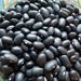 POROTO NEGRO ORGÁNICO - Copia de Poroto negro.jpg.jpg