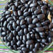 POROTO NEGRO ORGÁNICO - Copia de Poroto negro (2).jpg.jpg