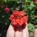 GEUM - WhatsApp Image 2026-07-28 at 07.50.37 (1).jpeg