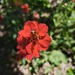 GEUM - WhatsApp Image 2026-07-28 at 07.50.41.jpeg