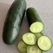PEPINO DE ENSALADA - WhatsApp Image 2026-08-20 at 8.15.06 AM.jpeg