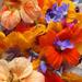 CAPUCHINA MULTICOLOR - WhatsApp Image 2026-07-23 at 14.53.15 (1).jpeg