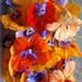 CAPUCHINA MULTICOLOR - WhatsApp Image 2026-07-23 at 14.53.15.jpeg