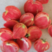 Tomate Corazón De Buey - TCB-PC-21.1.png