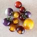 TOMATE ARANDANO - Tomate Arándano