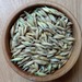 Avena - Avena