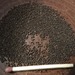 Amapola Mix - Amapola Mix