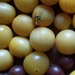 Tomate Amarillo Piel De Durazno - Tomate Amarillo Piel De Durazno