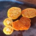 Tomate Naranja - Tomate Naranja