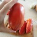 Tomate Cuerno De Los Andes - Tomate Cuerno De Los Andes
