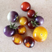 TOMATE ARANDANO - Tomate Arándano