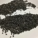 Puerro - Puerro