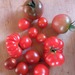 Tomate Cherry Mix - Tomate Cherry Mix